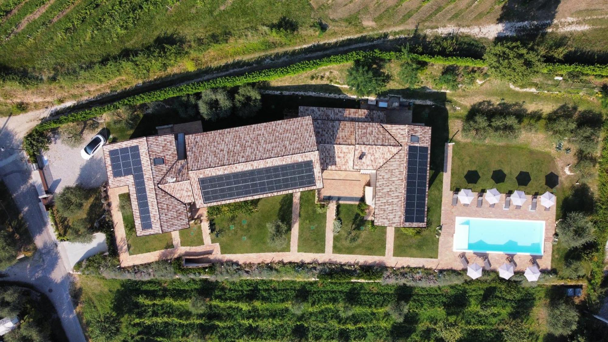 Casa Olivi Apartments Bardolino Exterior foto
